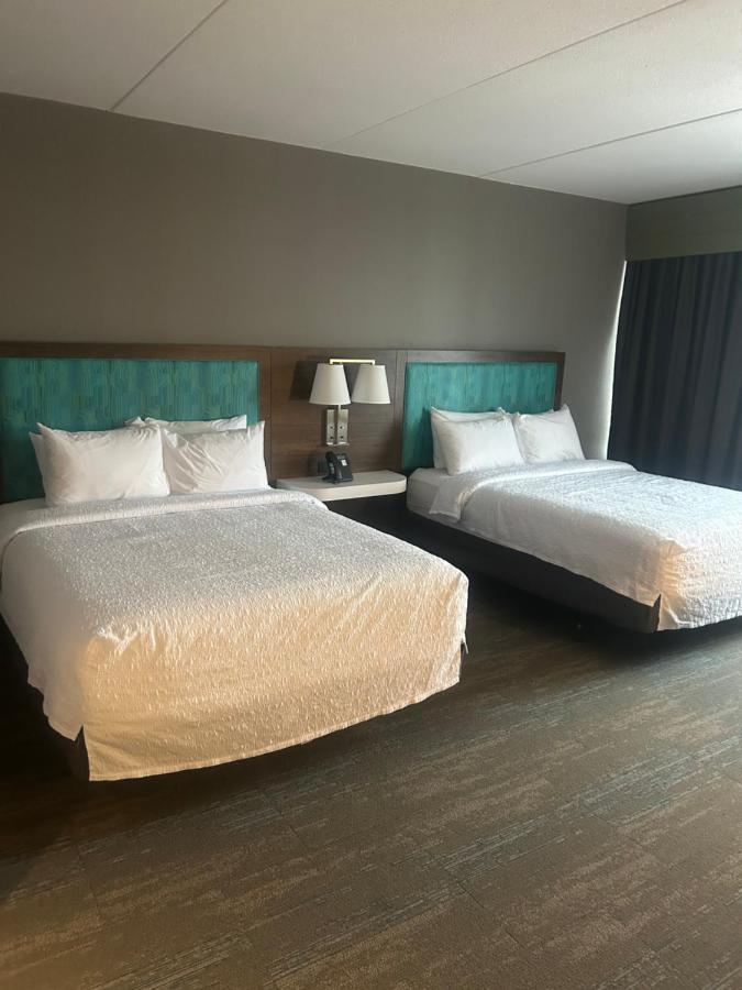 Hampton Inn By Hilton 金斯顿 外观 照片